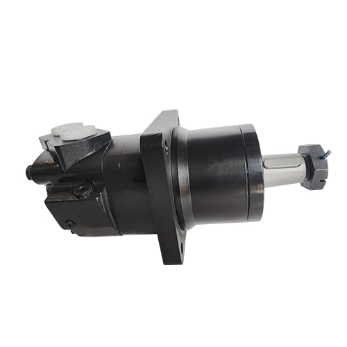 Wheel motor BM6-310