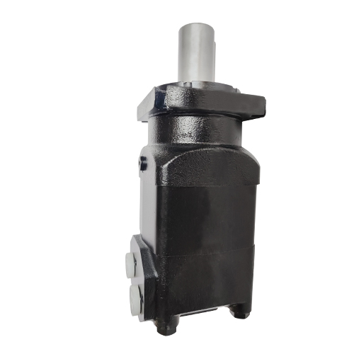 BMSY hydraulic motor