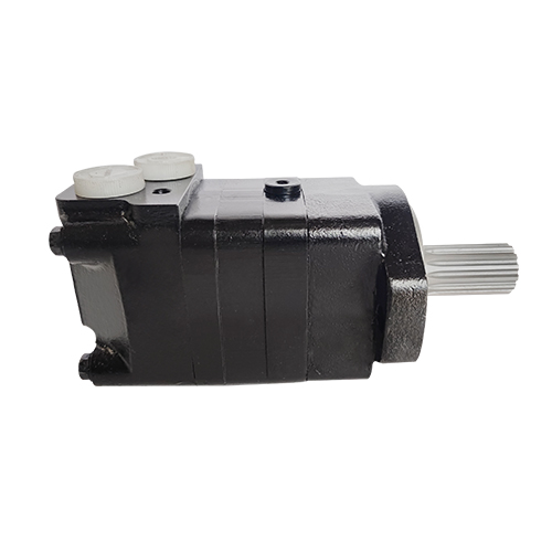 BMSY hydraulic motor