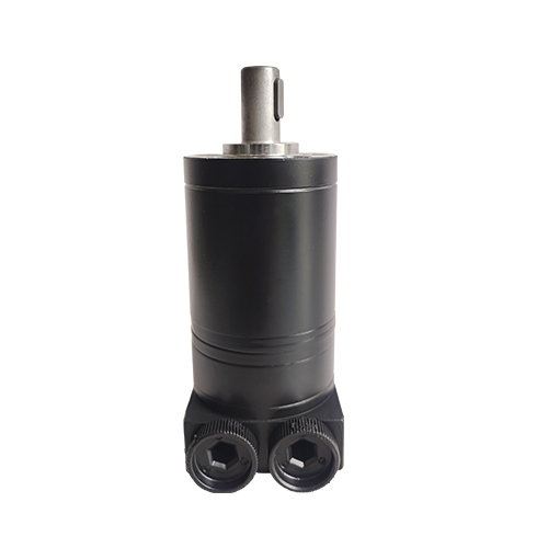 BMM hydraulic motor